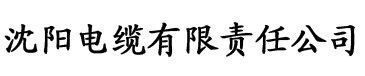 黄瓜视频app深夜电缆厂logo